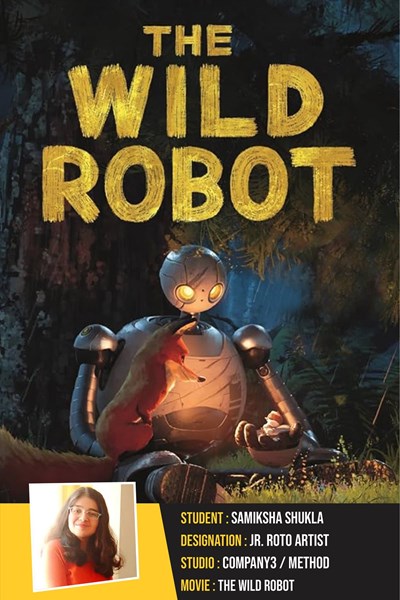 the-wild-robot-frameboxx